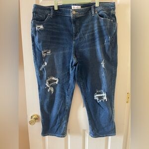 Lane Bryant jeans • Women’s 20